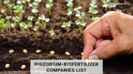 Rhizobium Biofertilizer Manufacturers Companies In India