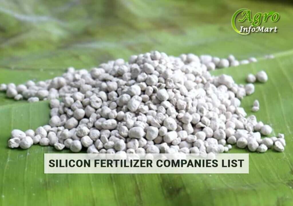 Maximize Quality silicon fertilizer Manufacturers In India