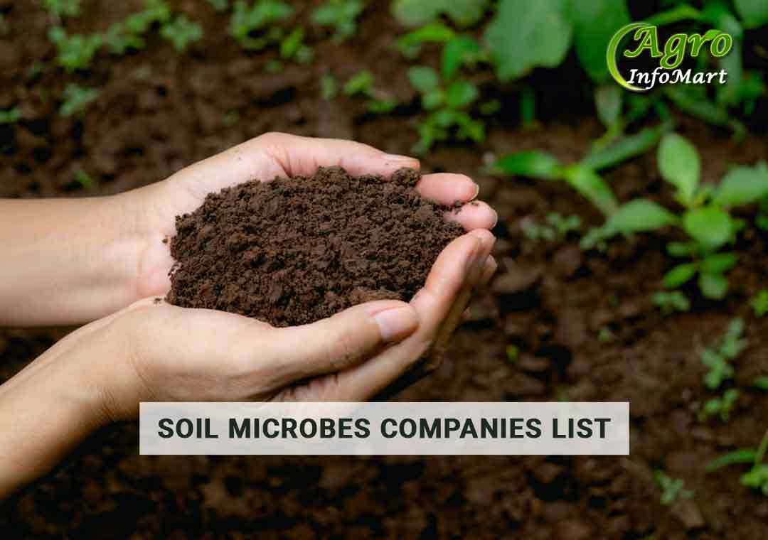 Soil Microbes Manufacturers Companies List In India