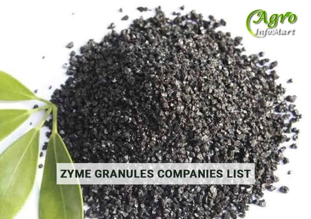 High Quality Zyme Granules Manufacturers ,Suppliers Companies In India