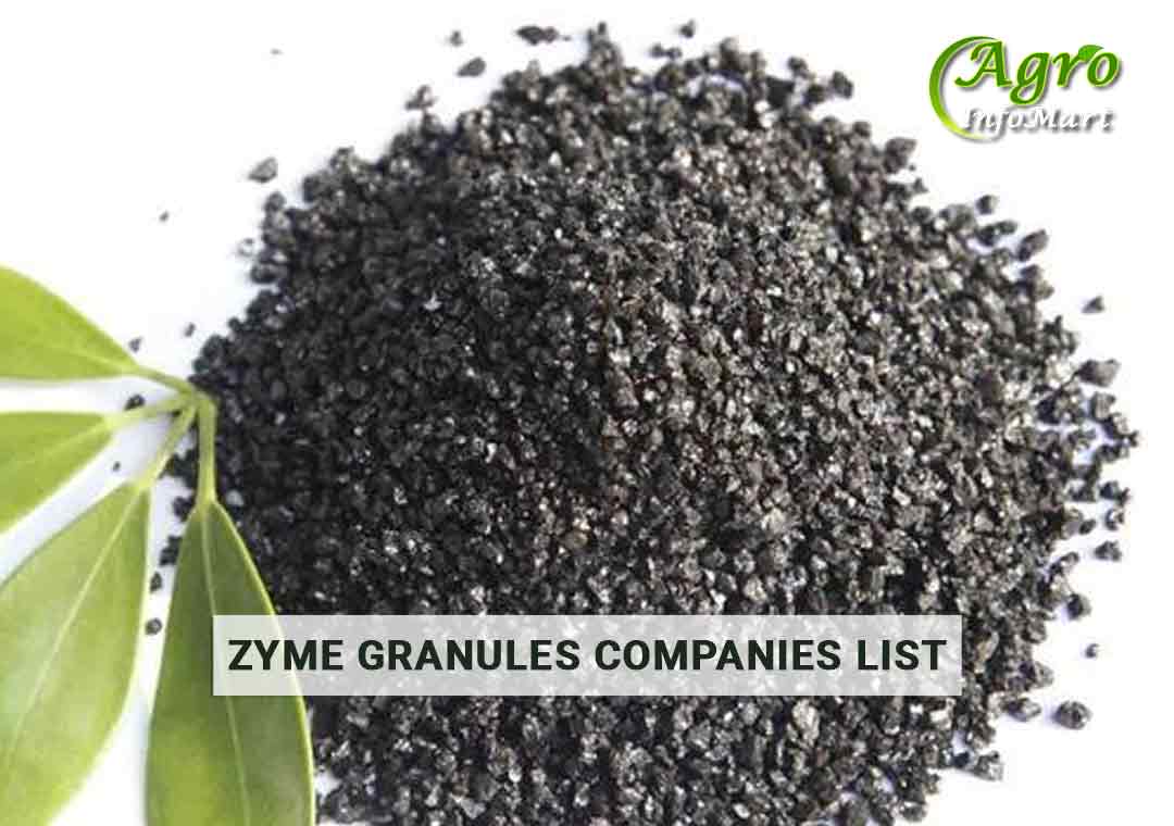 High Quality Zyme Granules Manufacturers ,Suppliers Companies In India