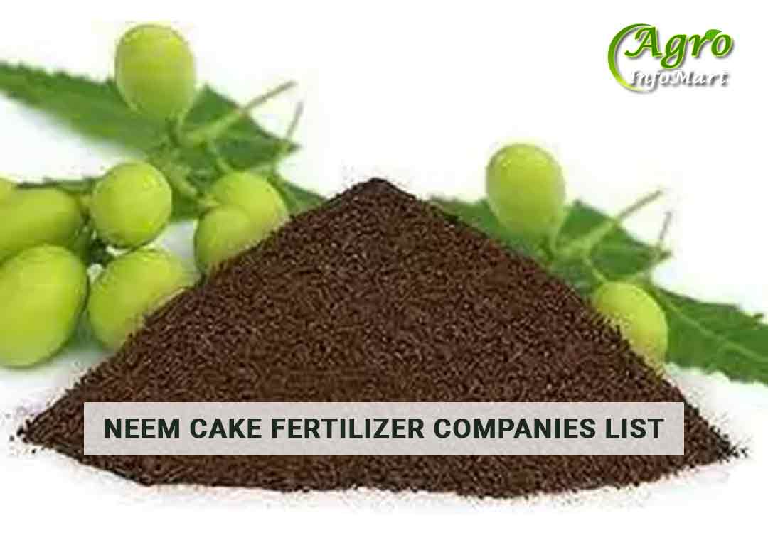 Benefits of Neem Cake - Agile India Exports | Neem, Organic cake, Organic  soil