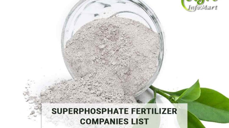 superphosphate fertilizer Manufacturers Companies In India